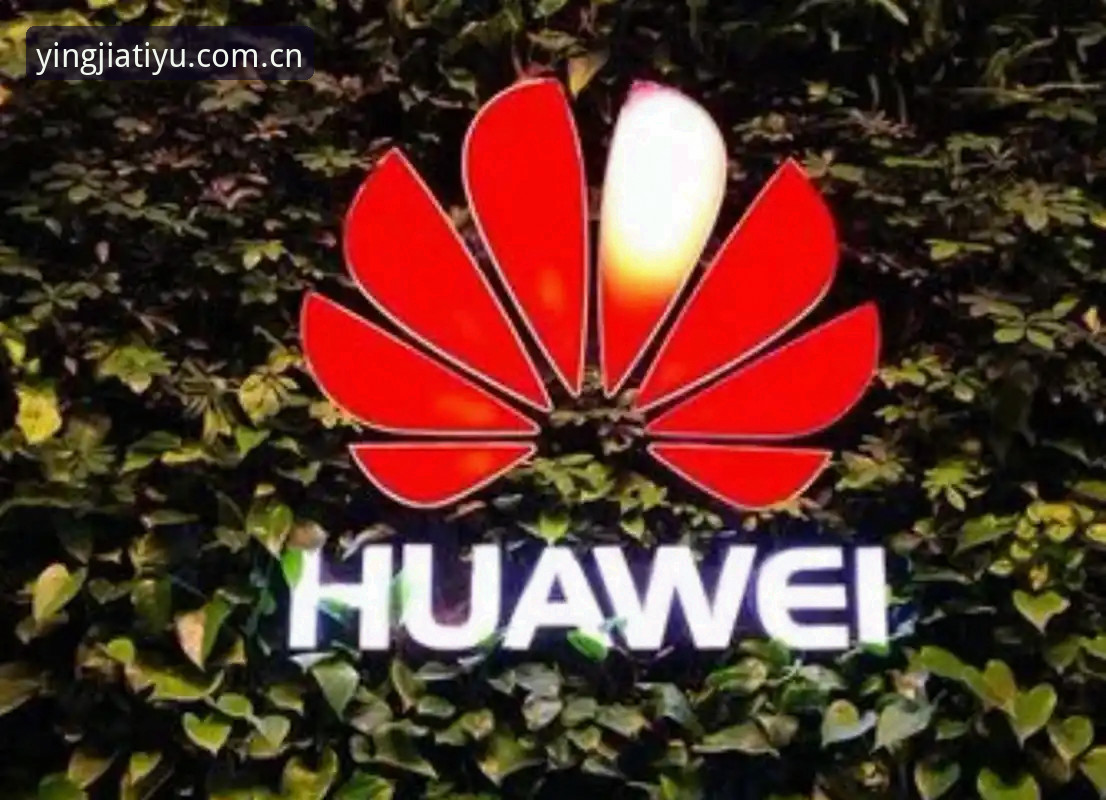 盈嘉体育平台深度评测：英超数据中心的真实价值，值得花时间研究吗？